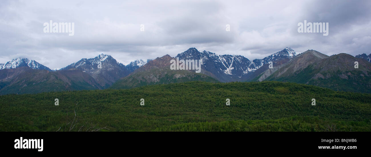 The Matanuska River Valley and Forest  with The Chugach Mountains as a background Stock Photo