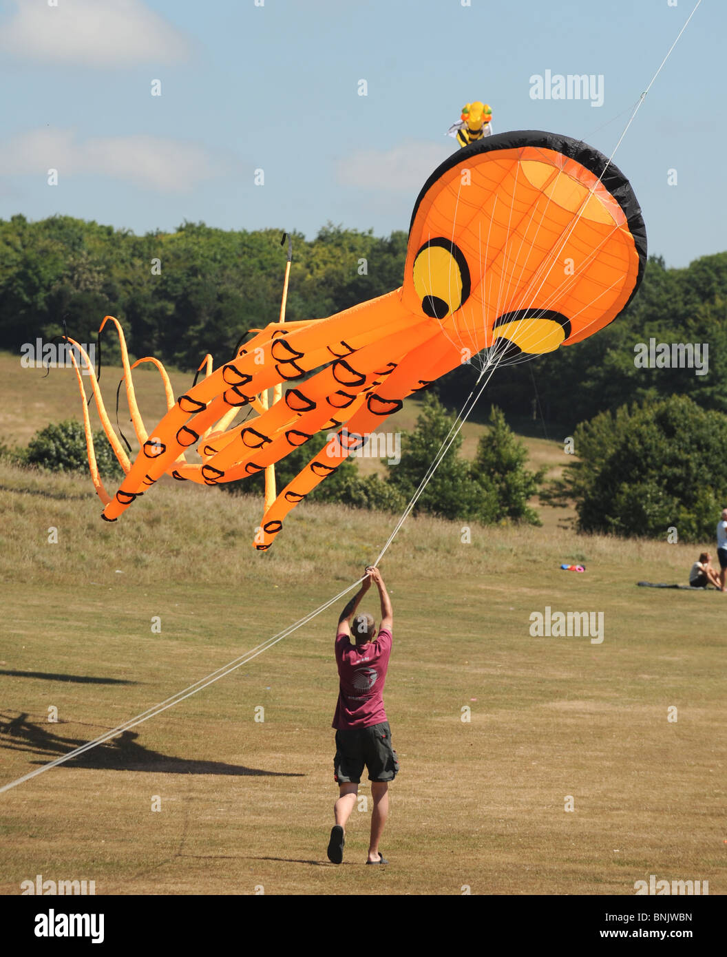 The Brighton Kite Festival summer event held in Stanmer Park in July UK