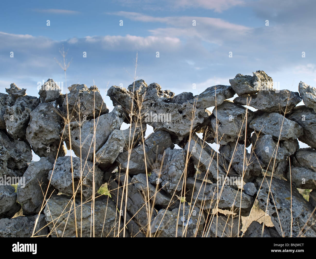 Old stone wall somewhere in the lawn or in the field Stock Photo - Alamy