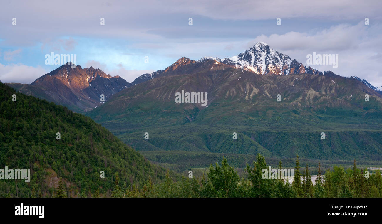 The Matanuska River Valley and Forest with The Chugach Mountains as a