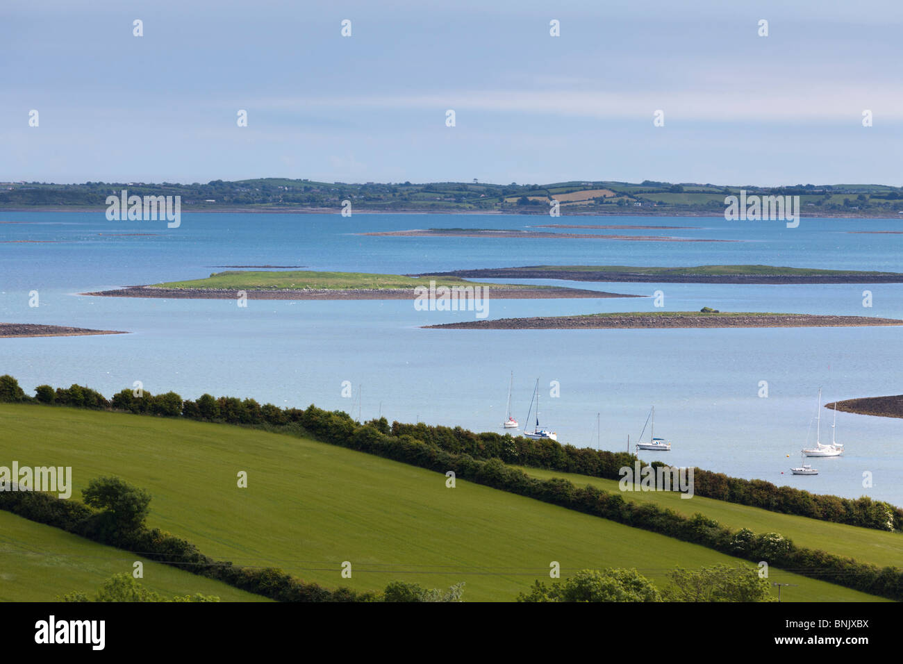 fields and Strangford Lough near the town of  Killinchy, between Comber and Killyleagh, County Down, Northern Ireland, UK Stock Photo