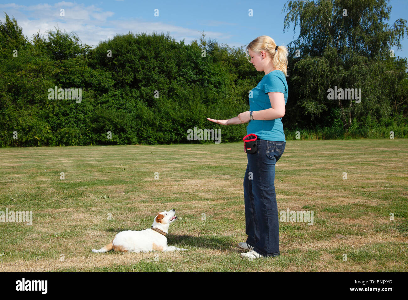 Woman with Parson Russell Terrier, training, signal 'down' / Parson