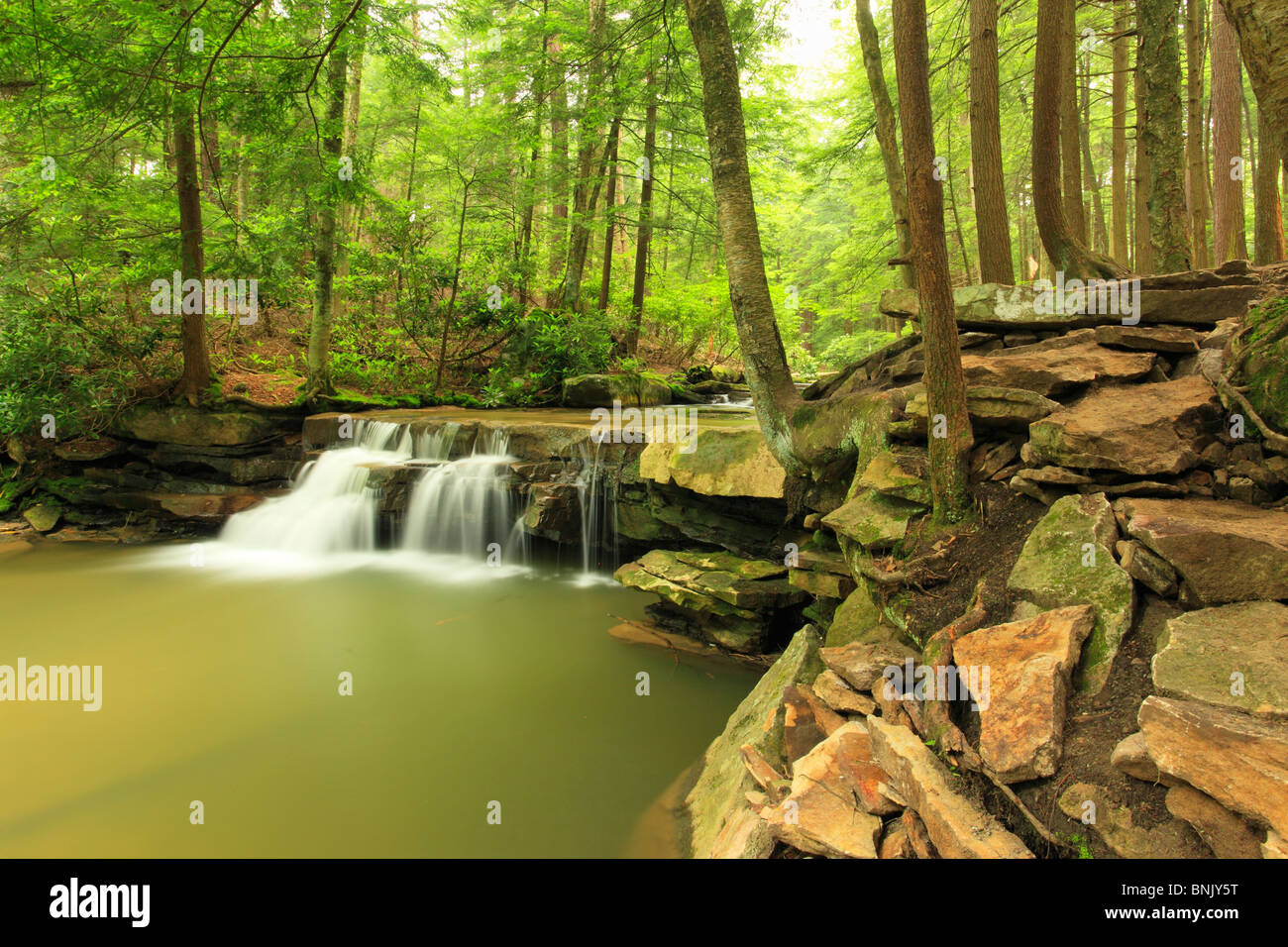 Tolliver Falls, Swallow Falls State Park, Oakland, Maryland, USA Stock
