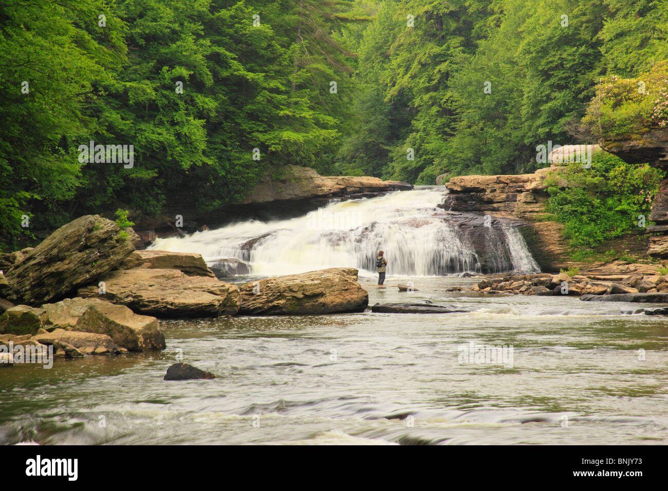 Fisherman at Upper Swallow Falls, Swallow Falls State Park, Oakland