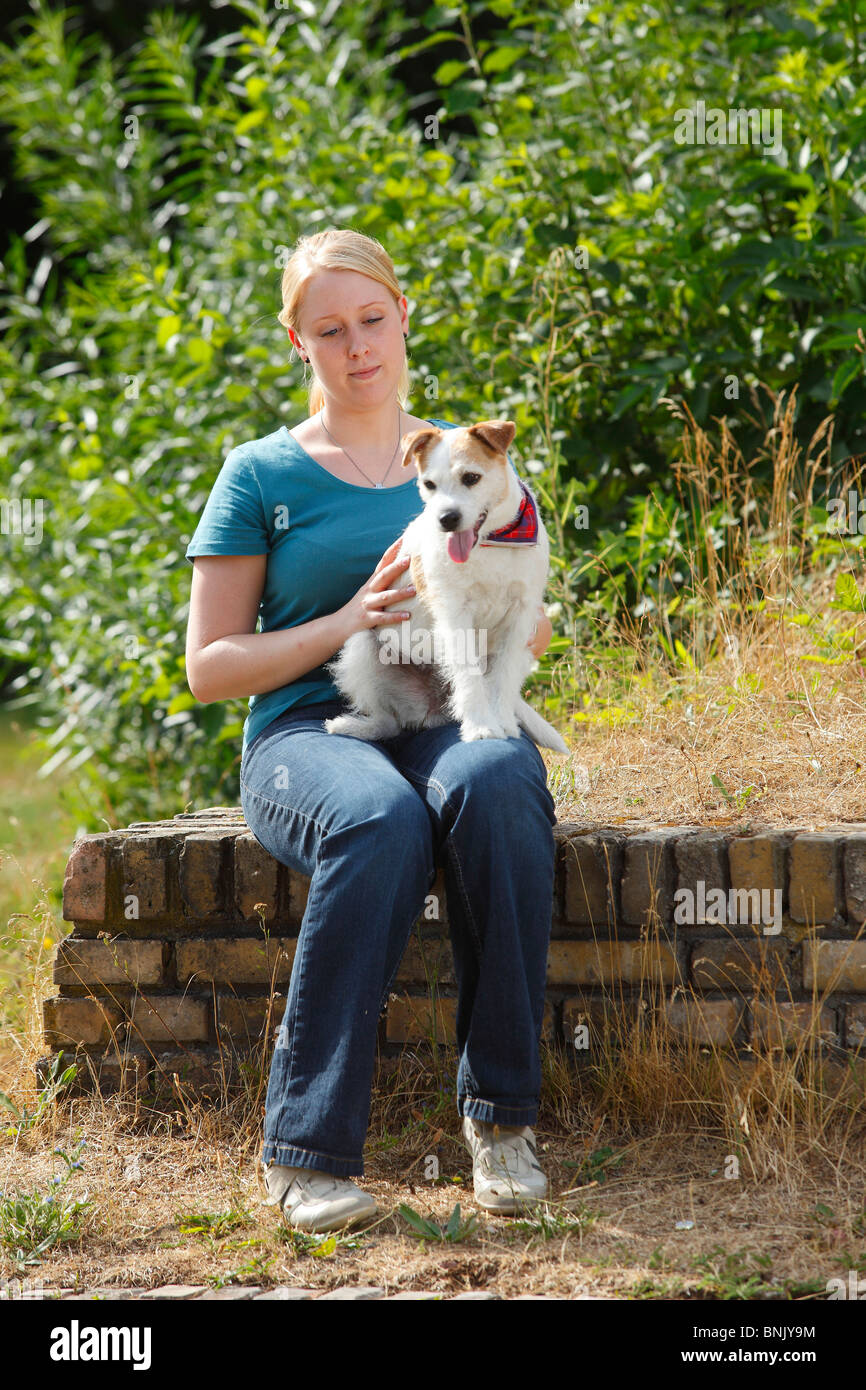 Jack russell cheap adult size