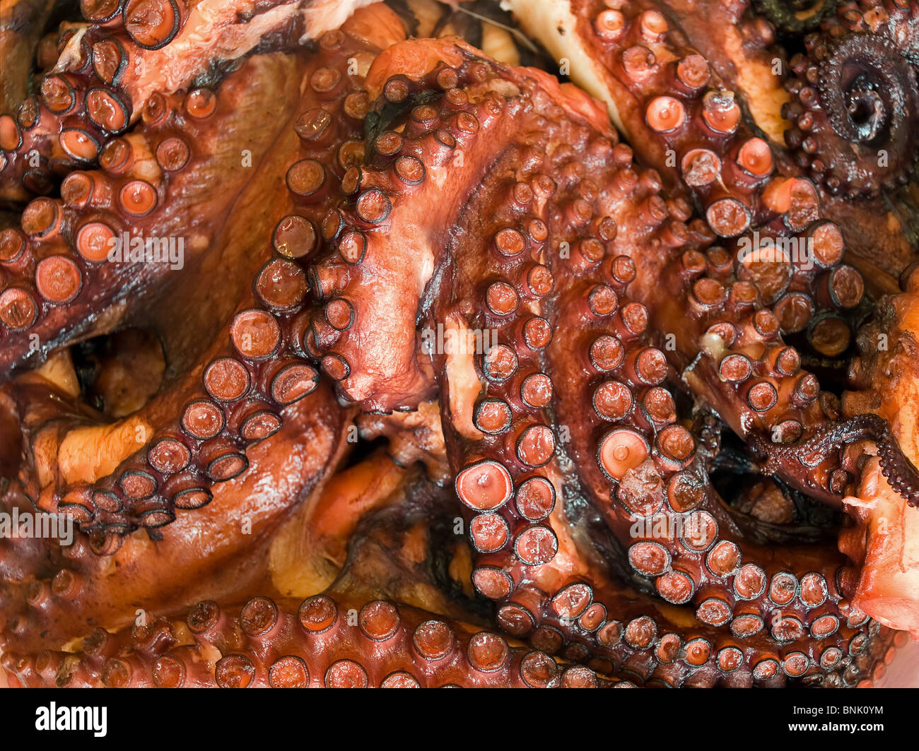 Boiled octopus hi-res stock photography and images - Alamy