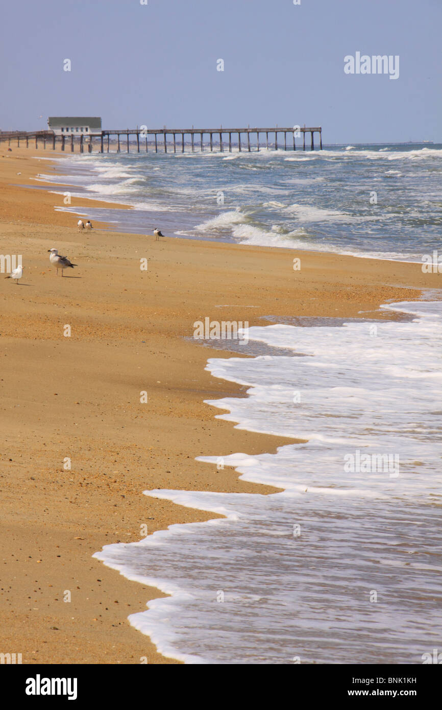 Kitty Hawk Beach with fishing pier in distance, Kitty Hawk, North