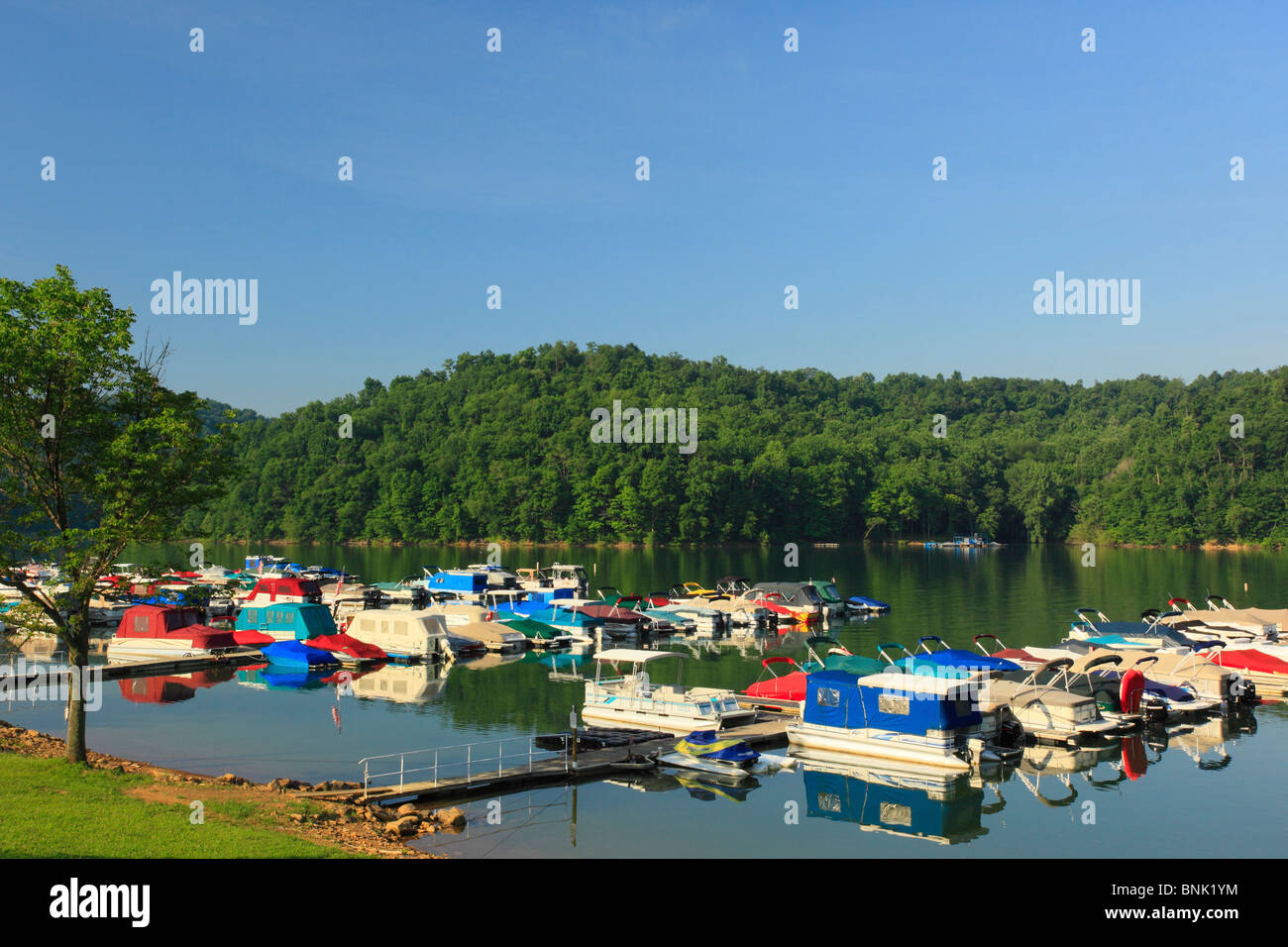Marina at Youghiogheny River Lake, Somerfield, Pennsylvania, USA Stock