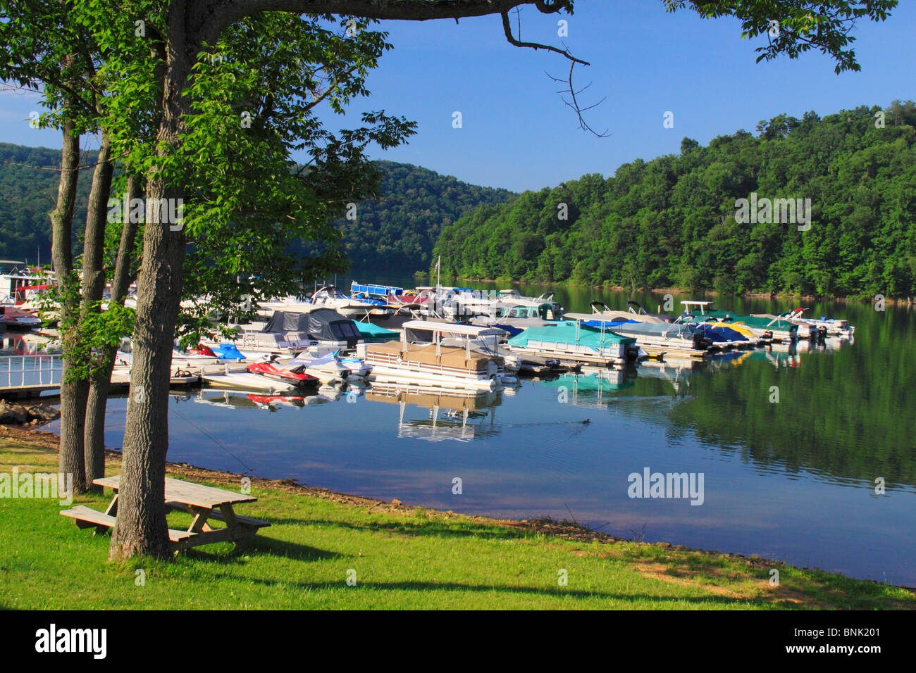 Marina at Youghiogheny River Lake, Somerfield, Pennsylvania, USA Stock