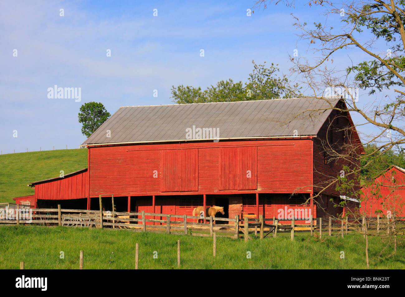 Red barn with horse near Middlebrook in the Shenandoah Valley, Virginia, USA Stock Photo