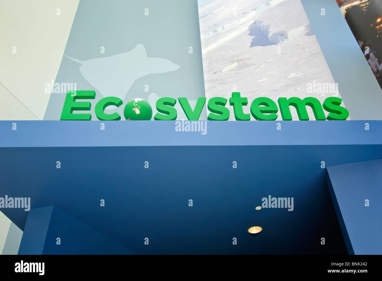 Ecosystems exhibit at the CA Science Center in Los Angeles. Stock Photo
