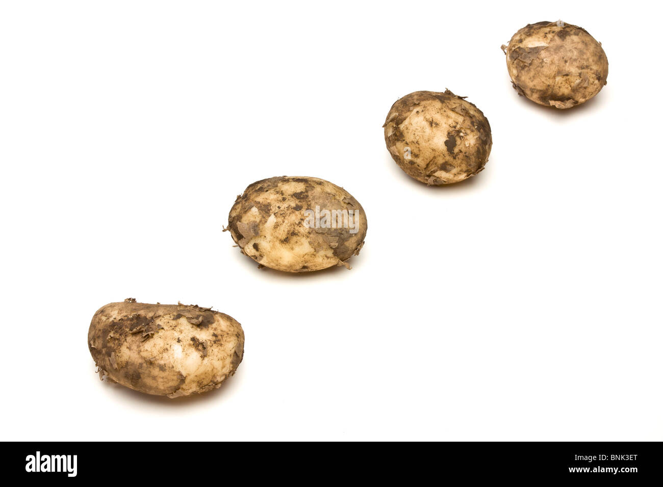 Lincoln new Potatoes from low perspective isolated against white background. Stock Photo