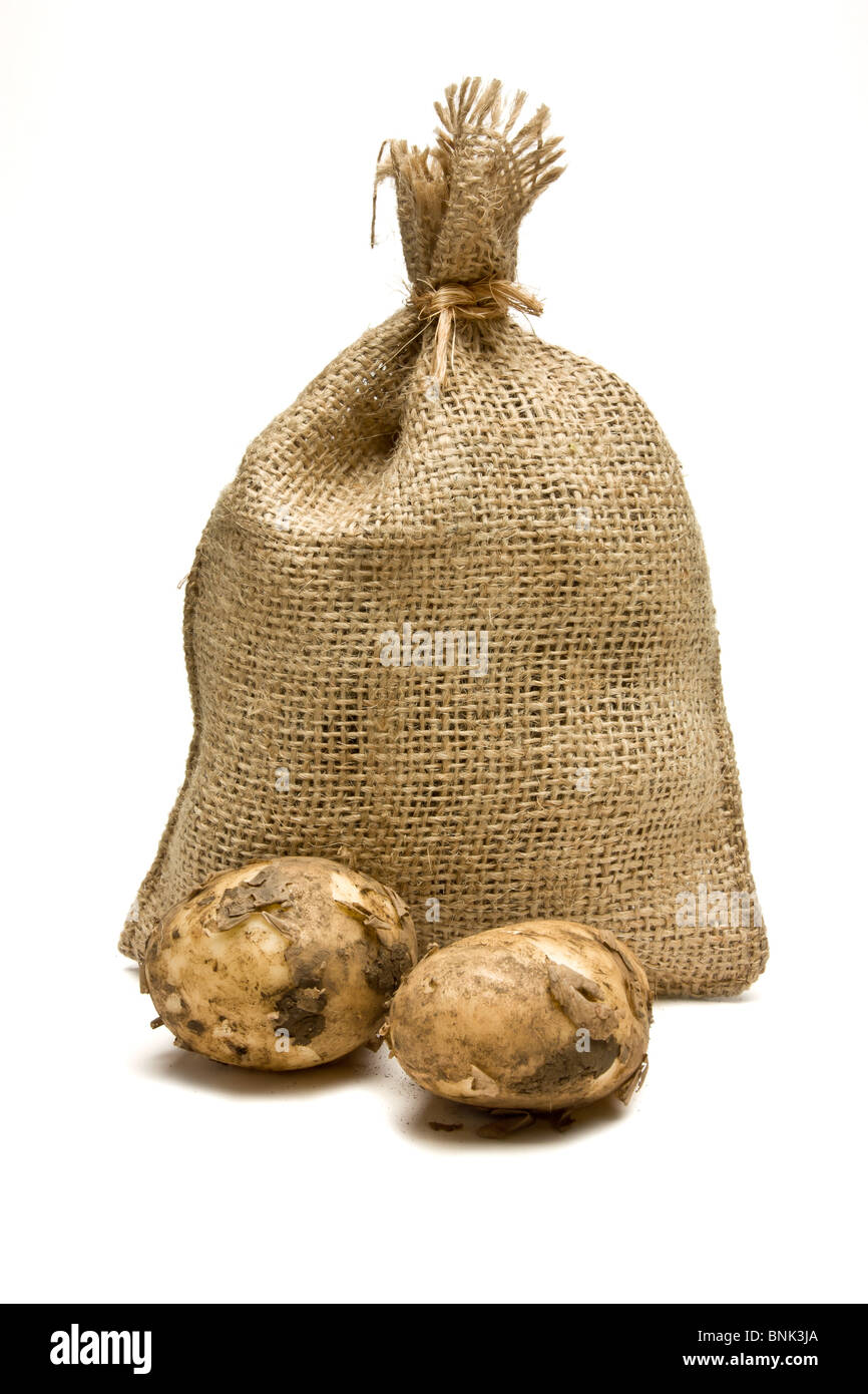 Sack of new Potatoes from low perspective isolated against white background. Stock Photo