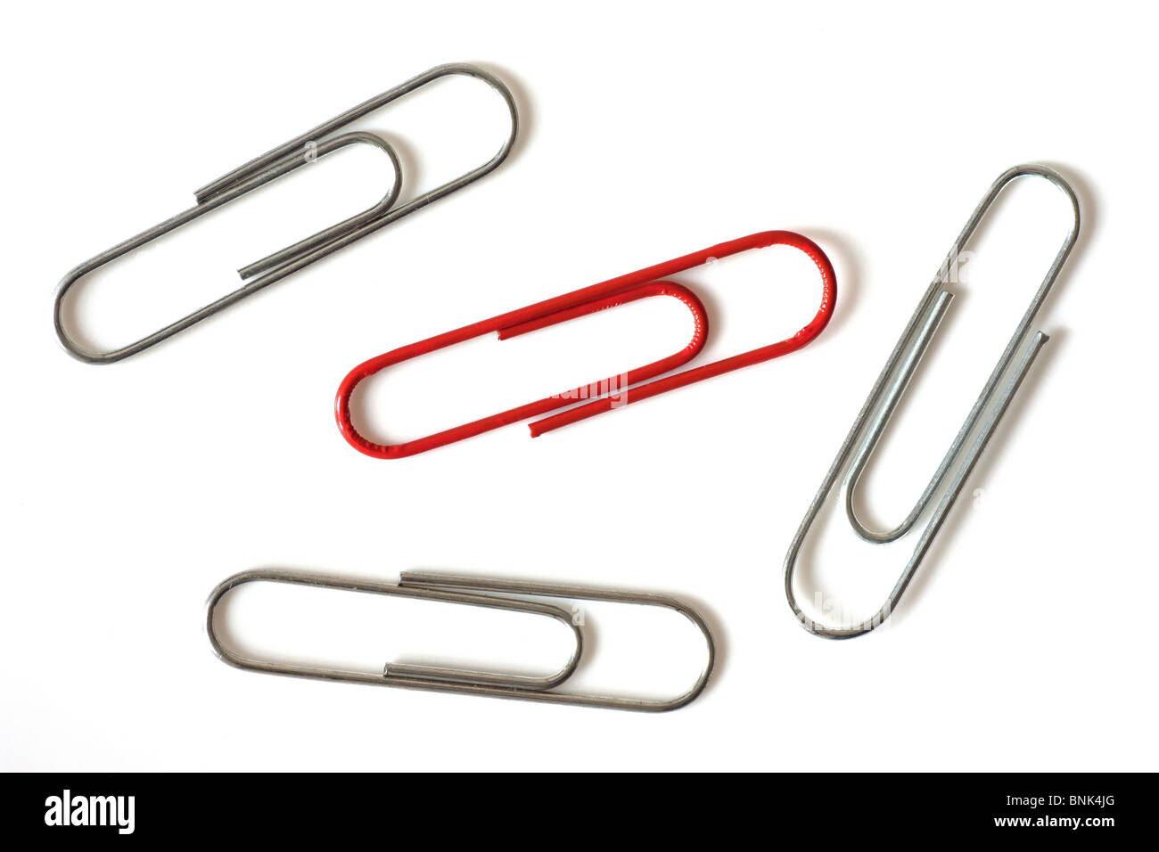 One red paper-clip amongst plain silver coloured paper-clips Stock Photo