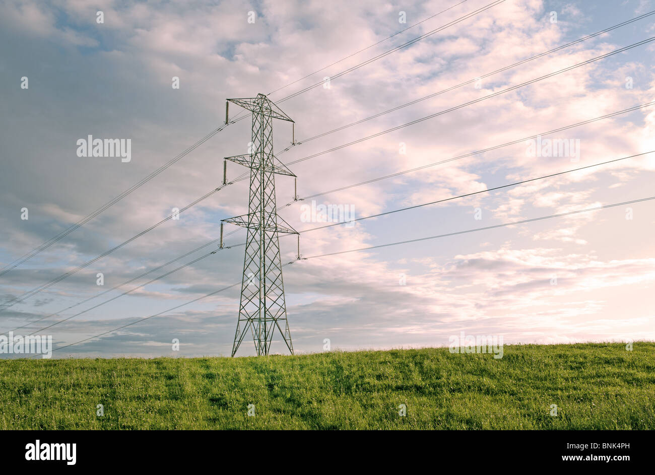 Pylon power cables in field with cloudy background Stock Photo - Alamy