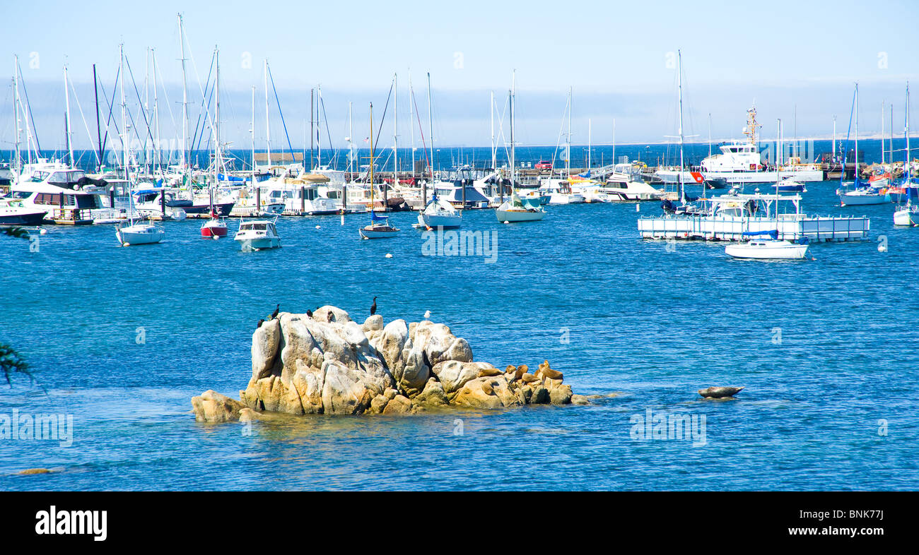 Monterey harbor bay marina yacht yachts fishing boat boats shore rock