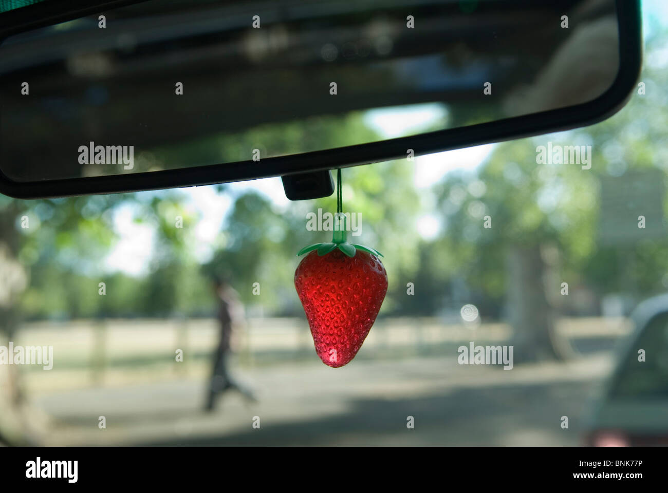 https://c8.alamy.com/comp/BNK77P/car-air-freshener-hanging-from-internal-rear-view-wing-mirror-homer-BNK77P.jpg