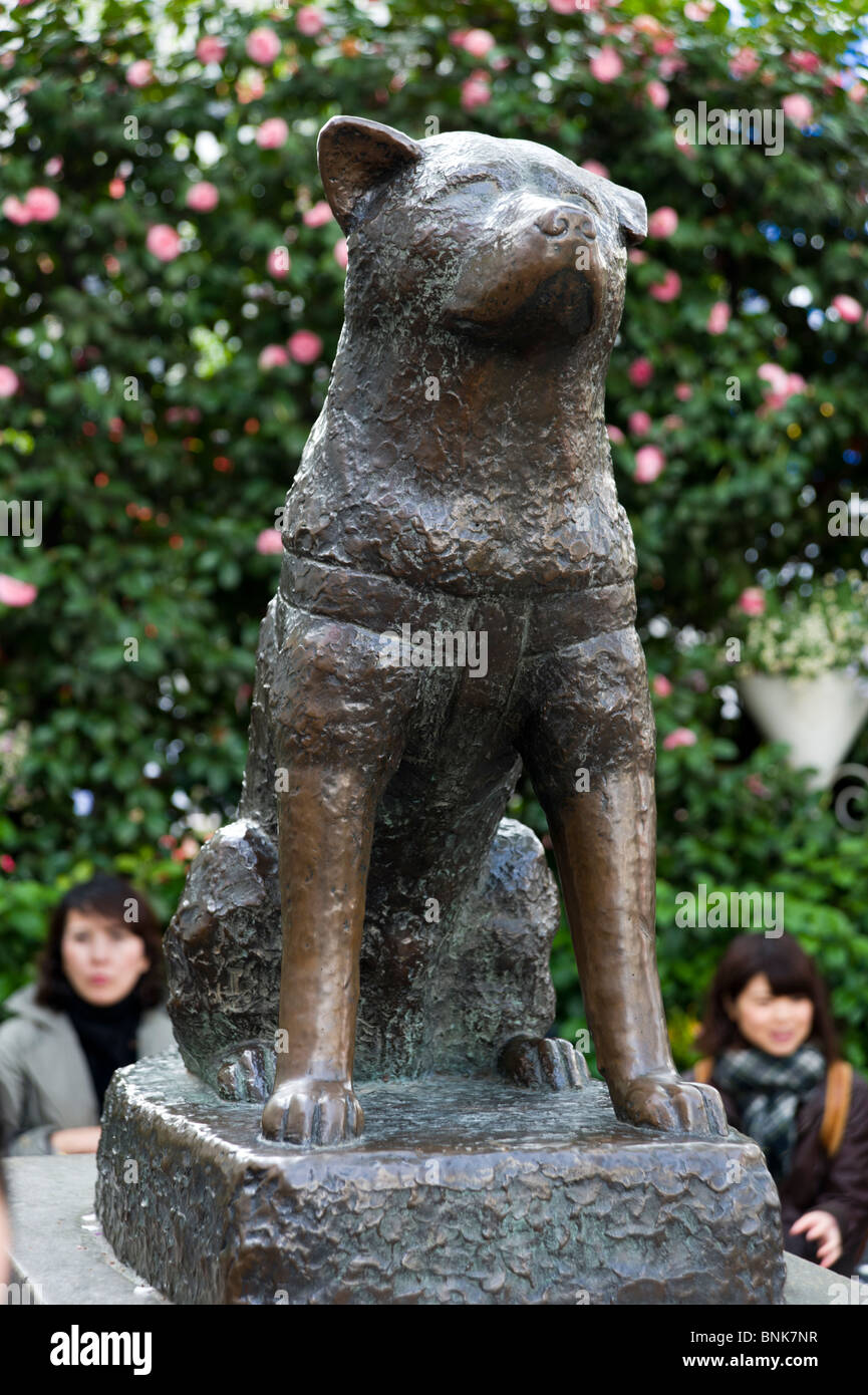Hachiko Statue Outside Shibuya Station Tokyo Japan Stock