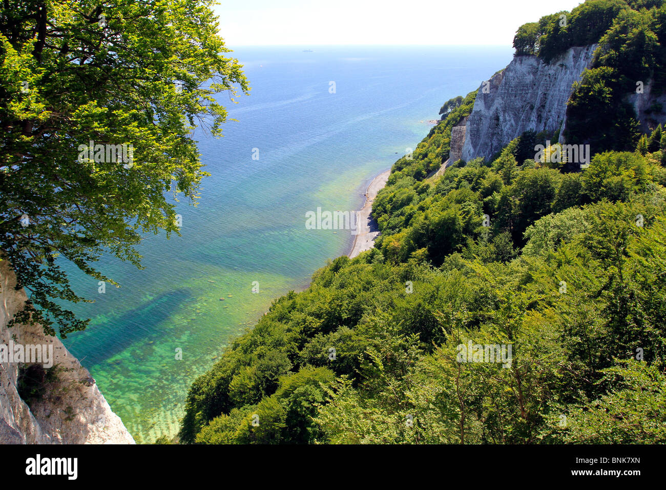 Chalk cliff , Jasmund National Park, Ruegen island, Mecklenburg Western Pomerania, Germany, Europe Stock Photo