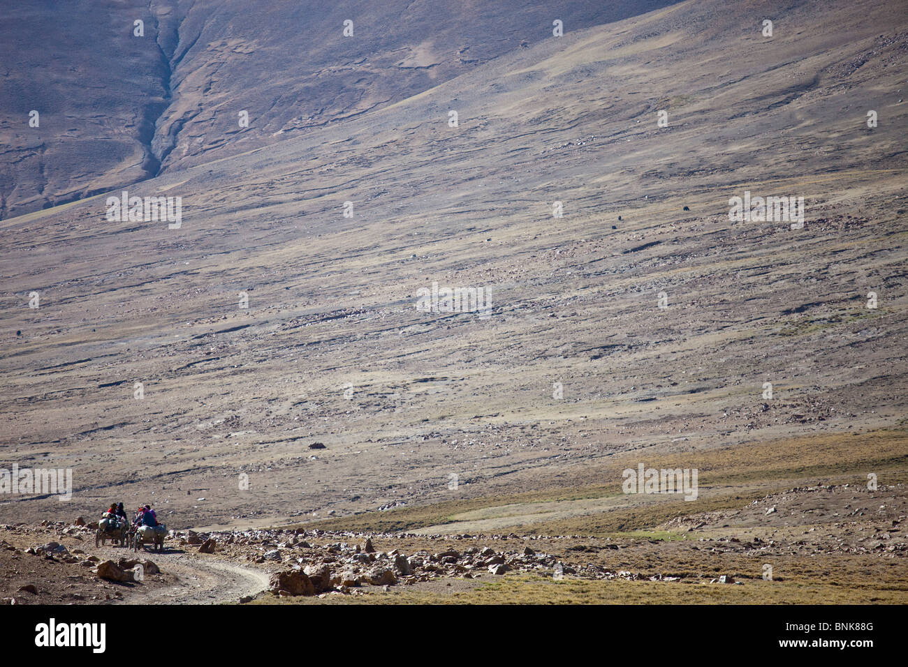 Horse drawn wagons on the old road to Everest Base Camp, Tibet Stock Photo