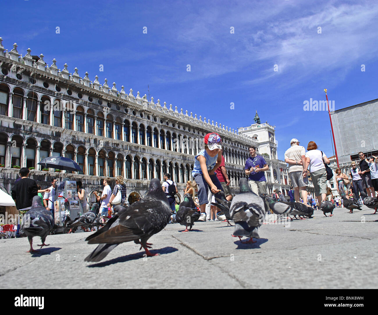 A boy feeds pigeons in St Marks Square, Venice, Italy Stock Photo