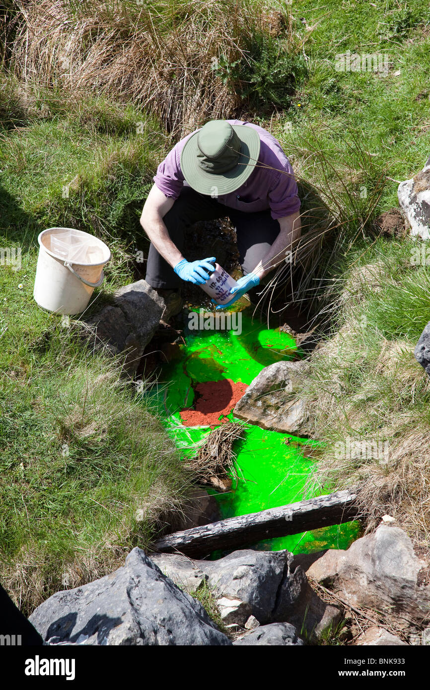 Man putting fluorescein dye in stream sink for water tracing hydrology experiment Derbyshire UK Stock Photo