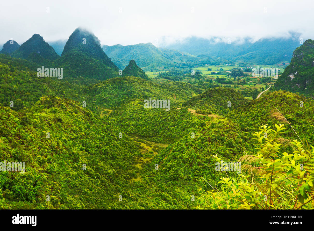 Beautiful mountain valley in northern Vietnam. Stock Photo