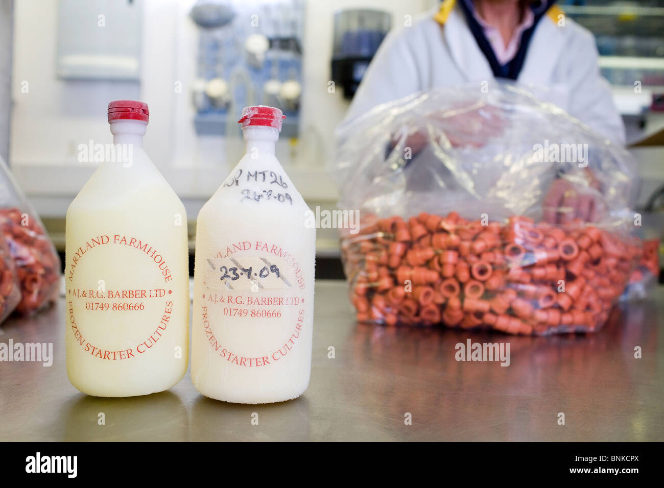 Starter cultures hires stock photography and images Alamy