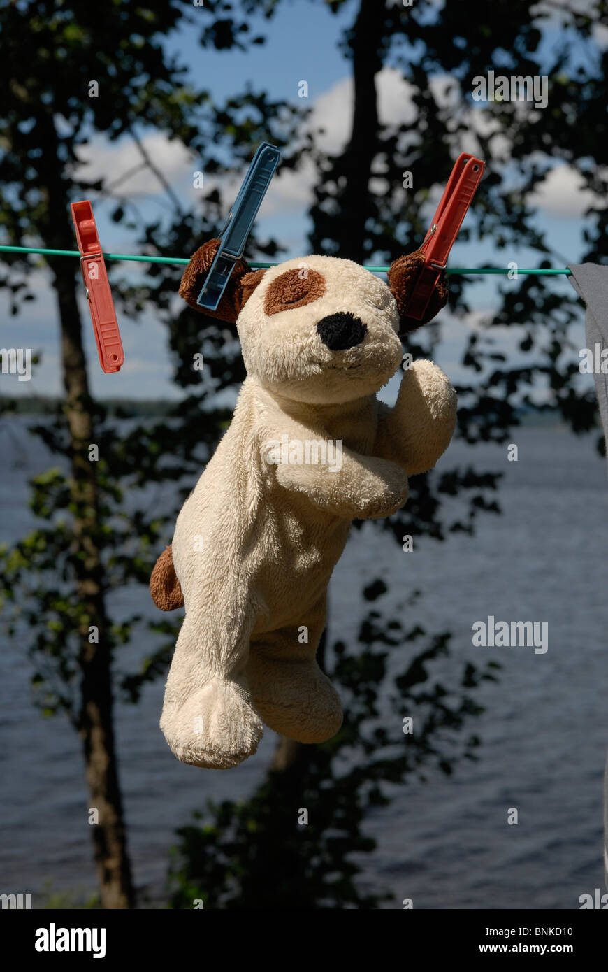 Toy dog, drying on a clothsline Stock Photo