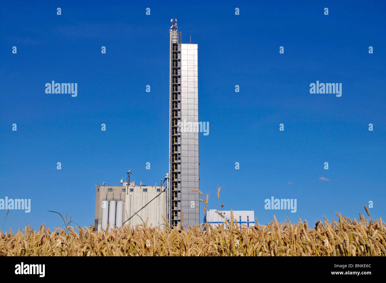 Europe Germany Baden-Wurttemberg Ulm Schapfenmühle highest top grain silo memory warehouse tower rook mill design construction Stock Photo