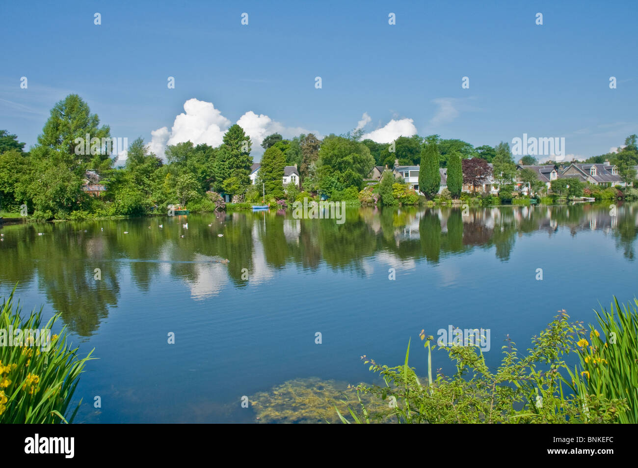 Tannoch Loch Milngavie East Dunbartonshire Scotland Stock Photo Alamy
