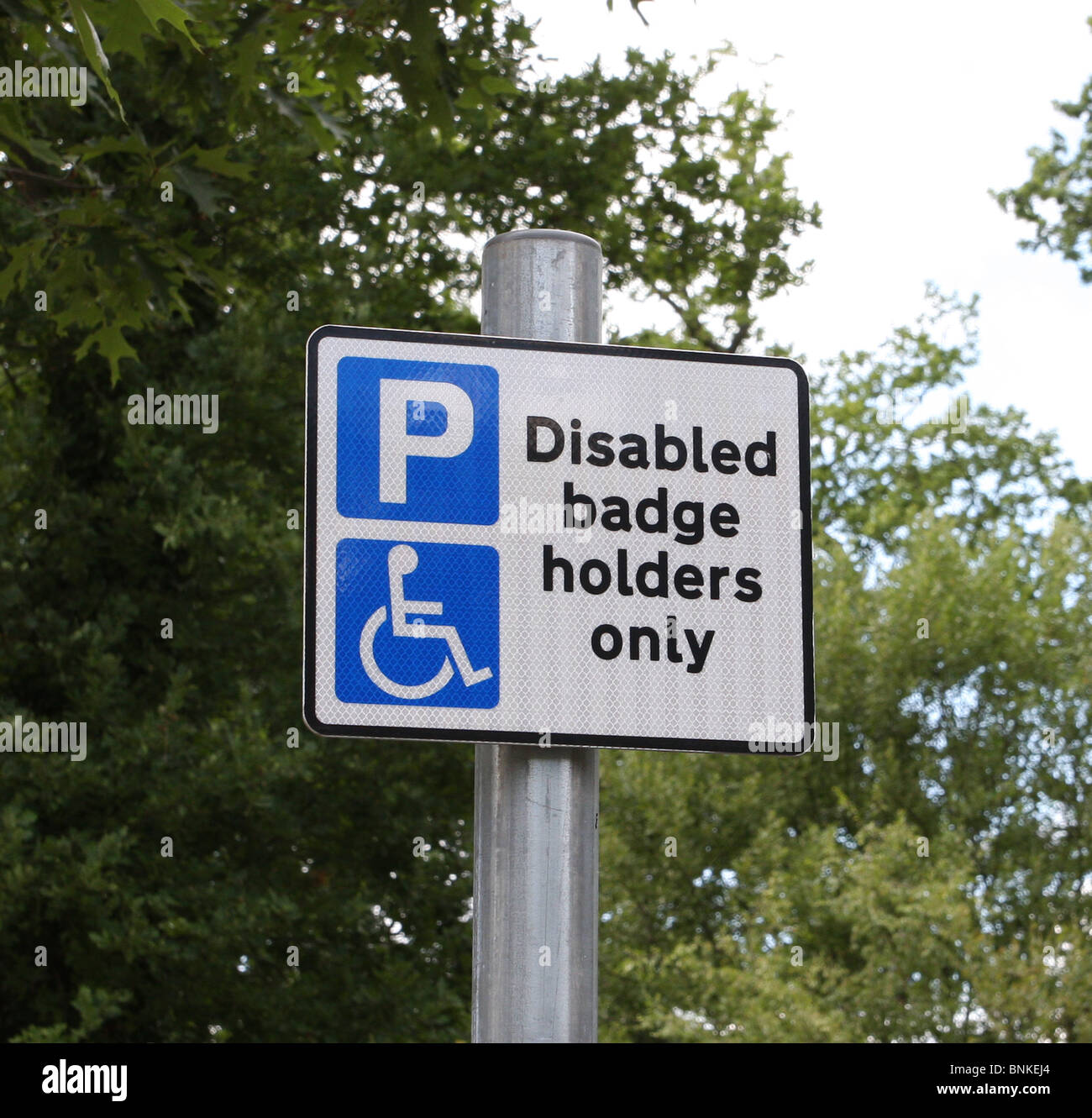 Blue badge hi-res stock photography and images - Alamy