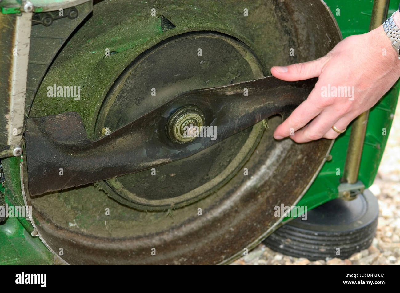 Checking cutting blade on a self-propelled rotary mower Stock Photo