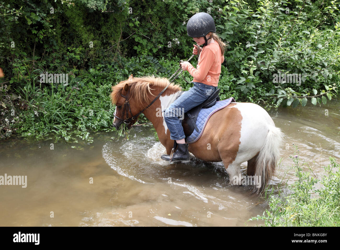 Young rider, Stradbally Equestrian Centre, Co. Laois, Ireland Stock Photo
