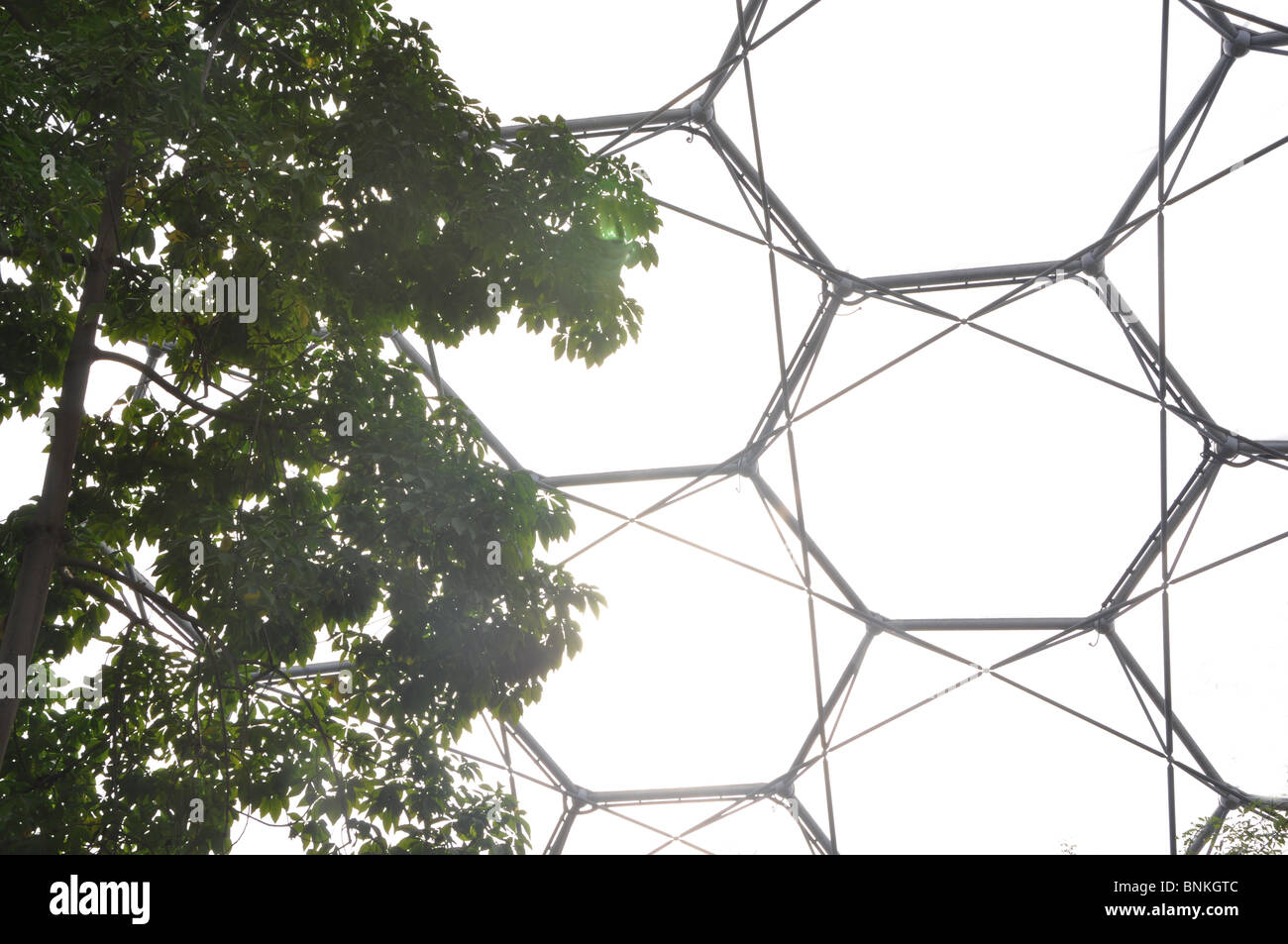 The Eden Project Stock Photo Alamy