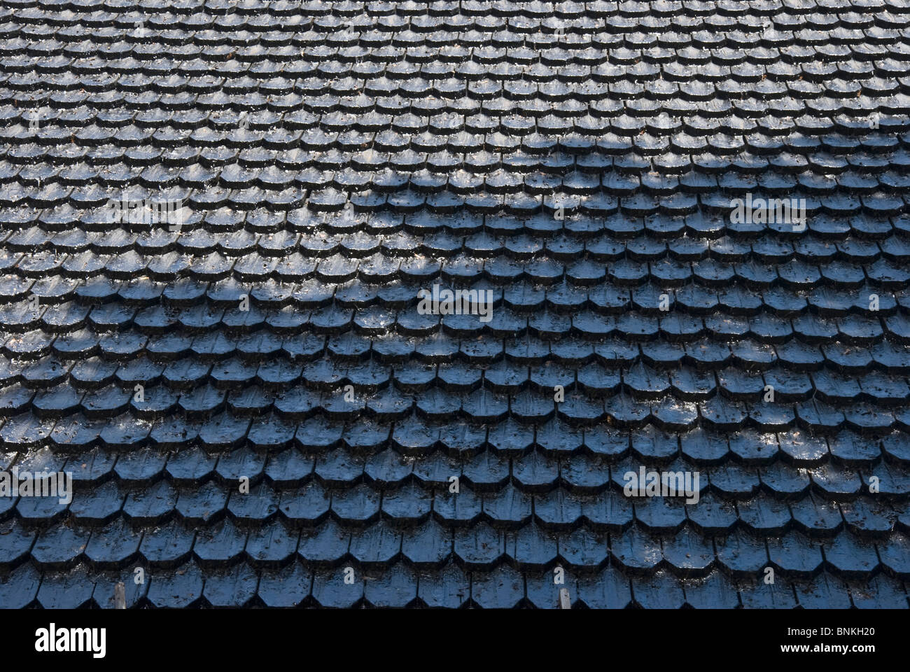 Roofing Tar Under Shingles at Angela Brown blog