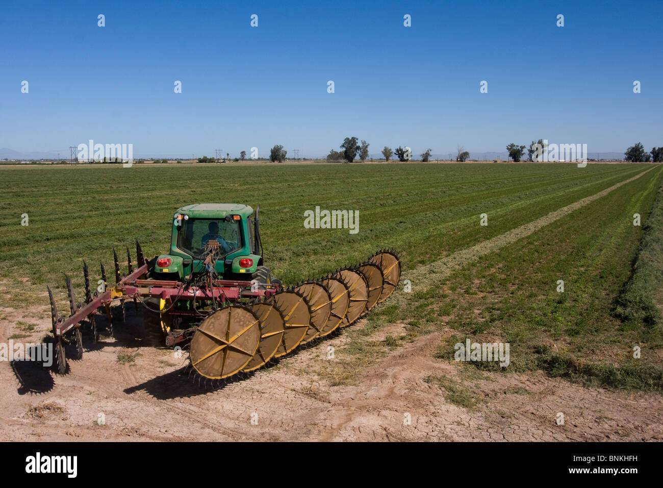 The Imperial Valley is green and rich in alfalfa hay production Stock Photo