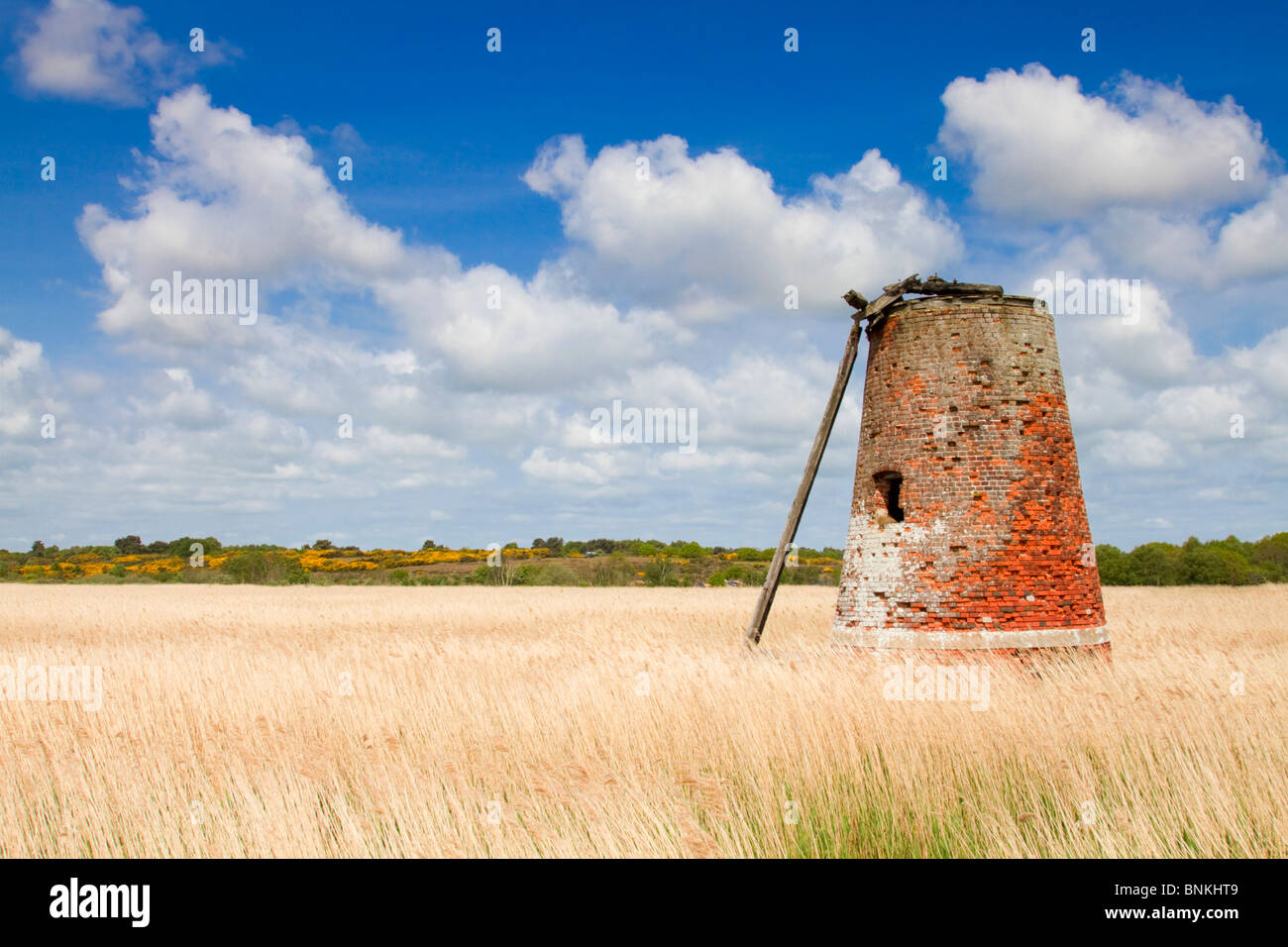 Walberswick; old windmill; Suffolk Stock Photo