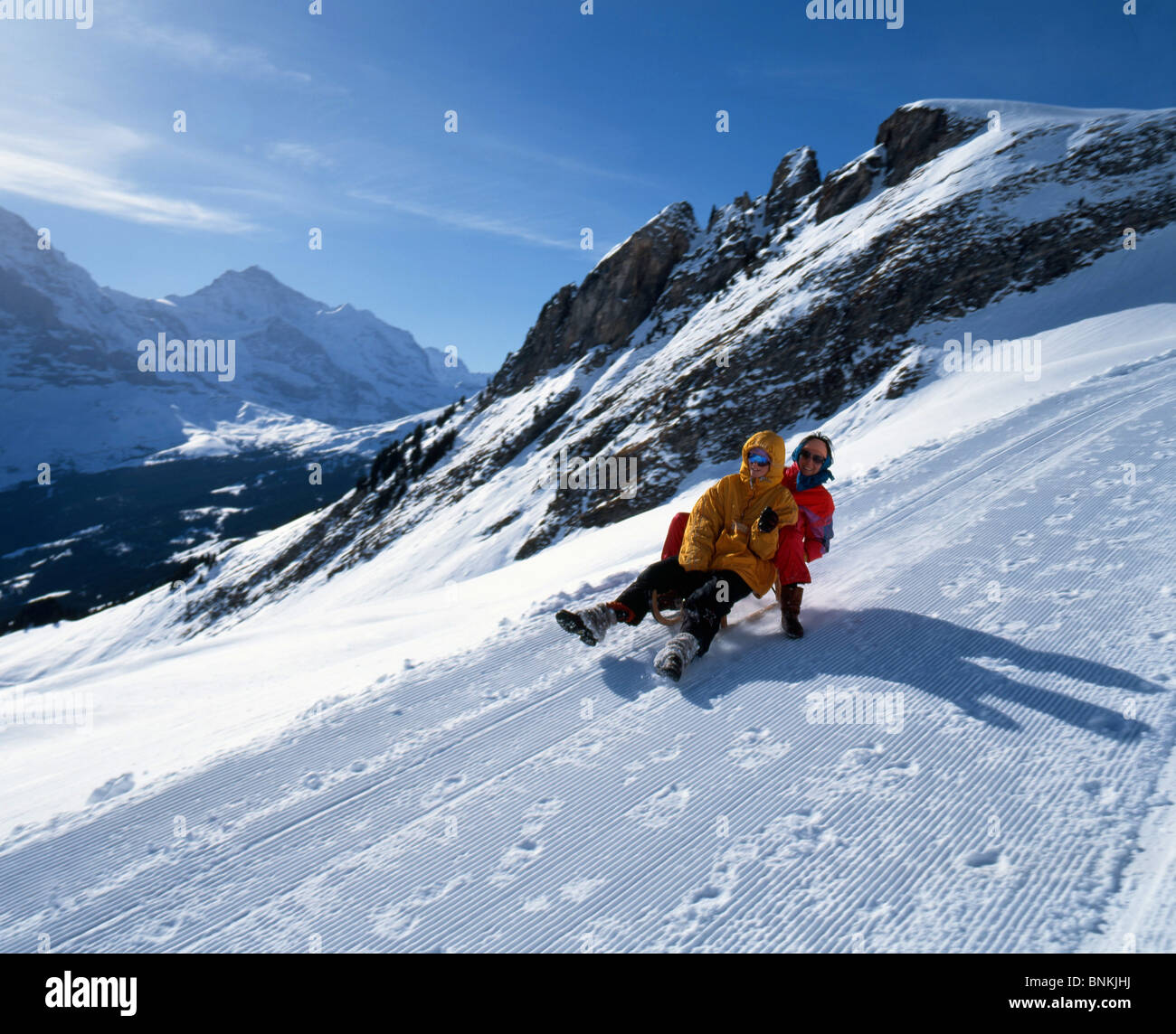 Switzerland winter sports to go sledging Grindelwald toboggan persons