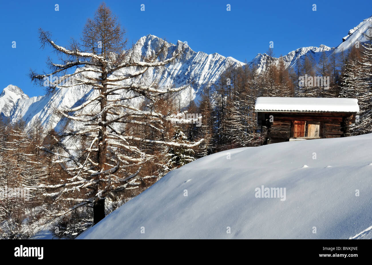 Switzerland Valais Blatter snow larch winter mountains Alps hut building construction glitter map card Swiss scenery Stock Photo