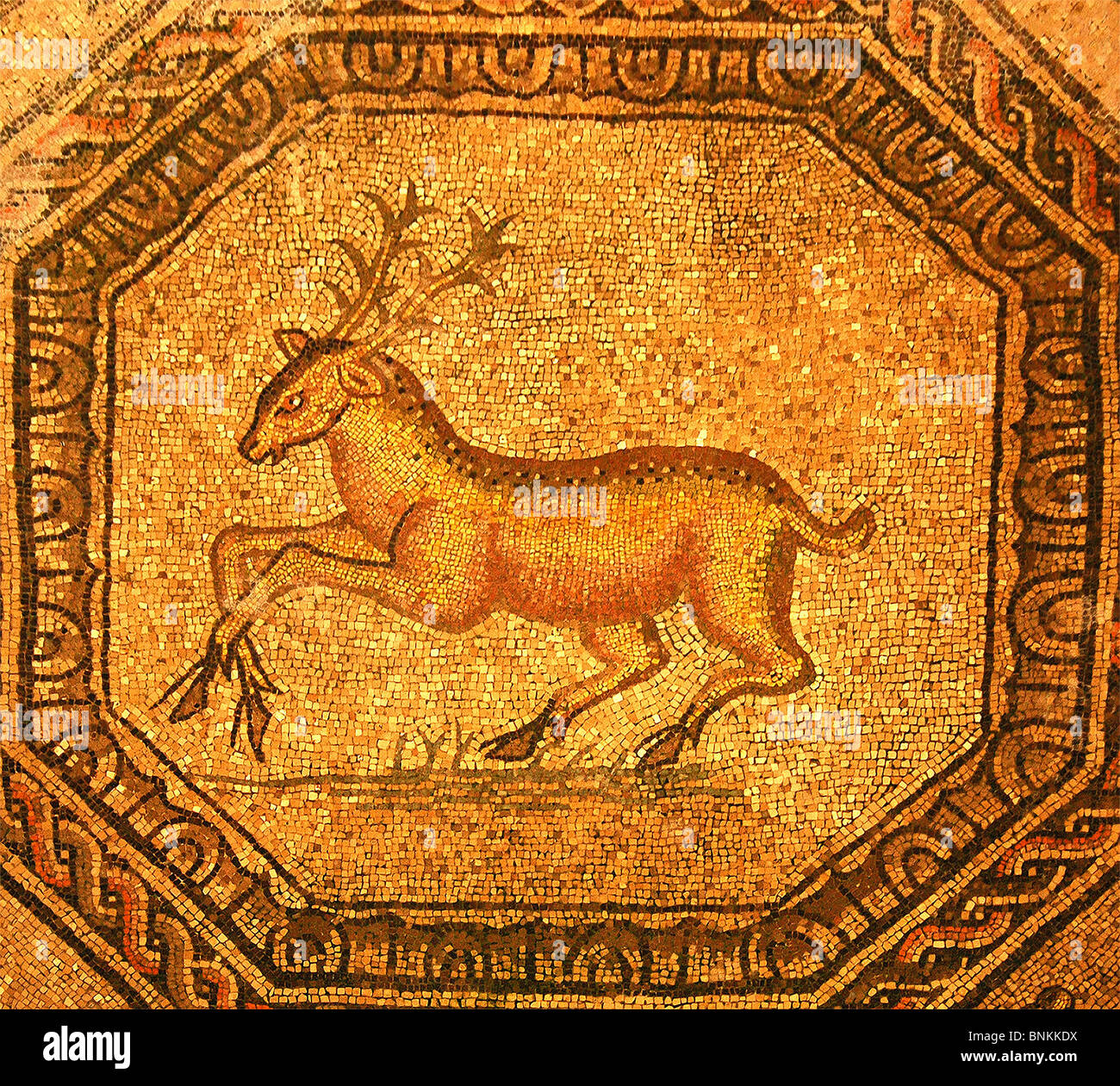 Italy Friaul Friuli aquiliea Rome Roman art skill mosaic tiles ocher red classically decoration adornment craft history story Stock Photo