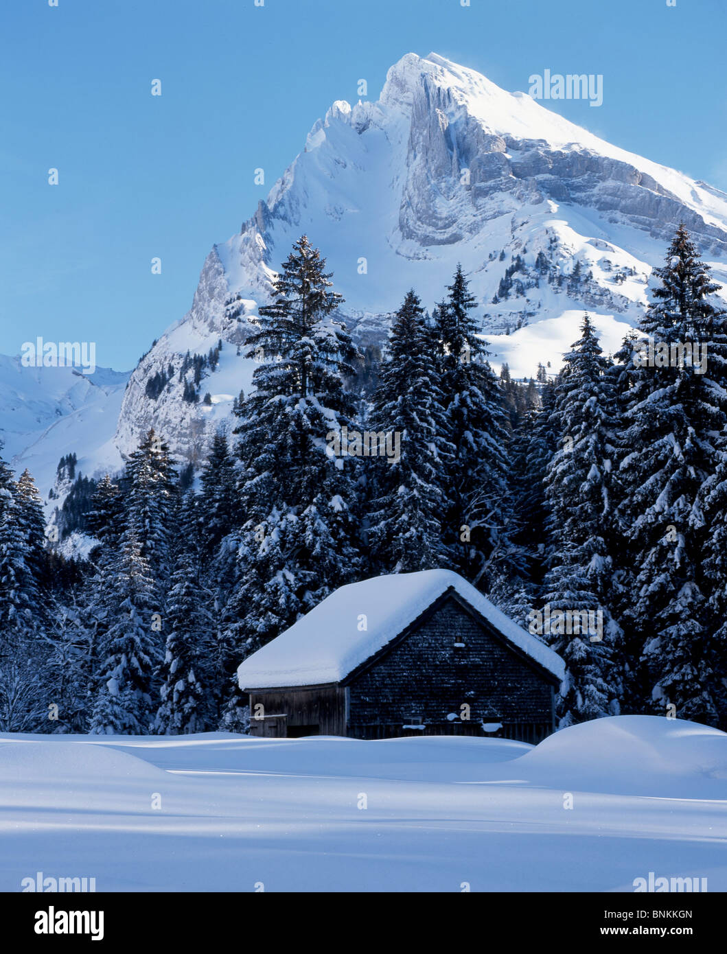 Switzerland scenery winter scenery mountain Schaf hut mountains snow house home snowy canton St. Gallen Toggenburg Stock Photo