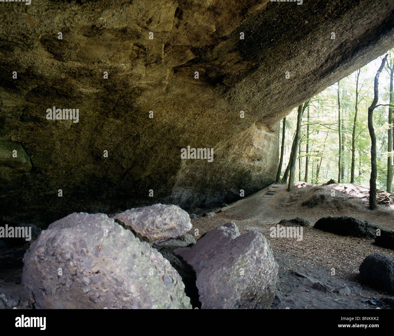 Switzerland cave Kolumbanshöhle wood forest stones rocks cliffs canton St. Gallen scenery Stock Photo
