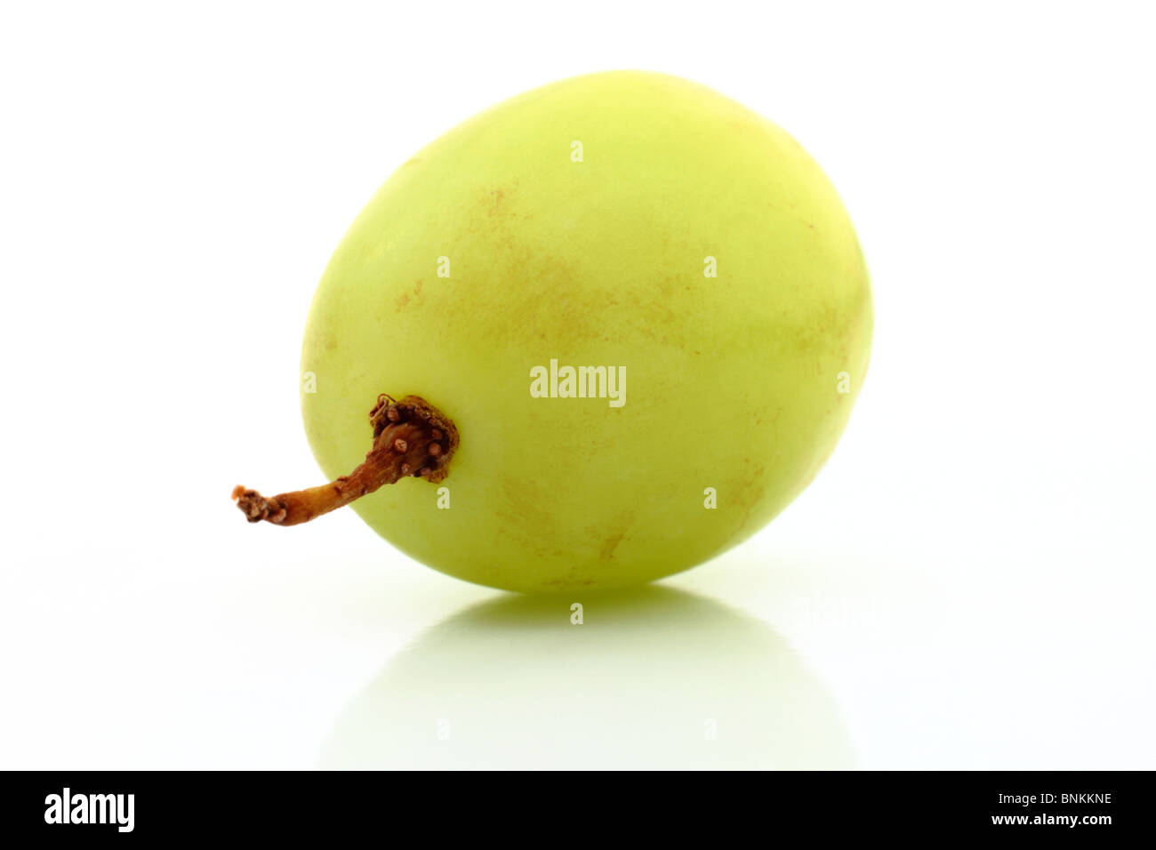 Single white grape close up. Stock Photo