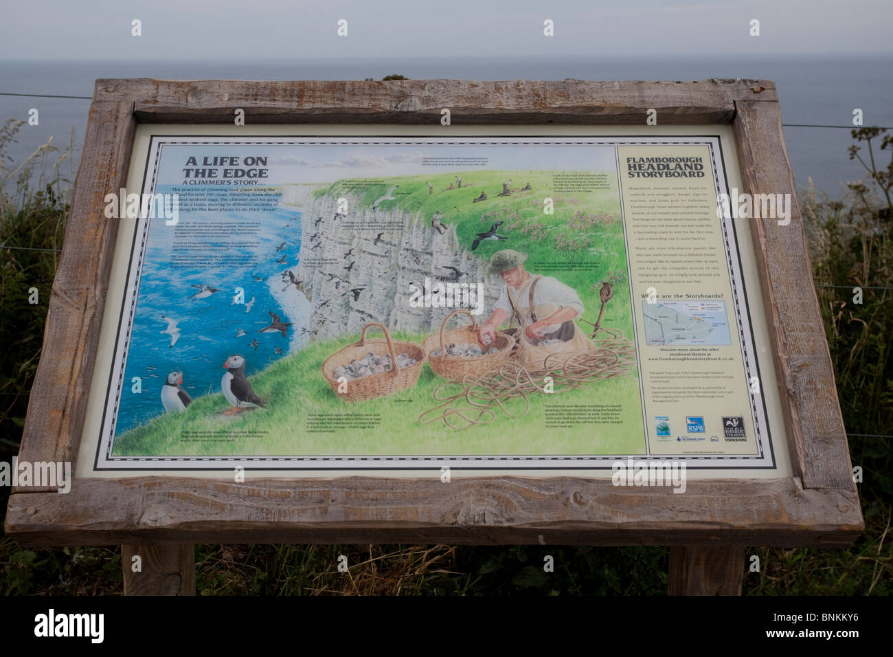 Information board on egg collecting Bempton Cliffs RSPB Nature Reserve Flamborough Head East Riding of Yorkshire UK Stock Photo