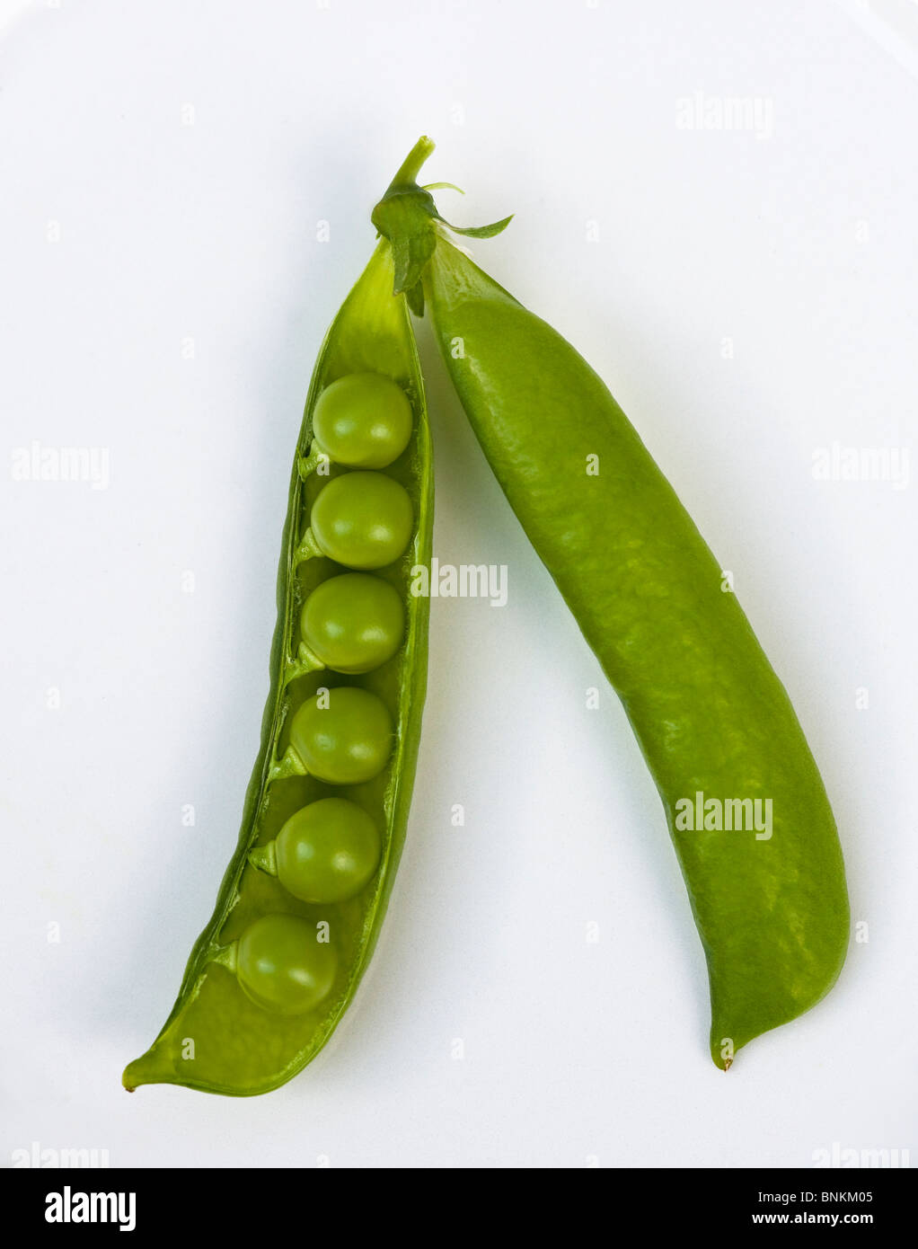 Home grown Open pea pod showing six fresh green peas Stock Photo