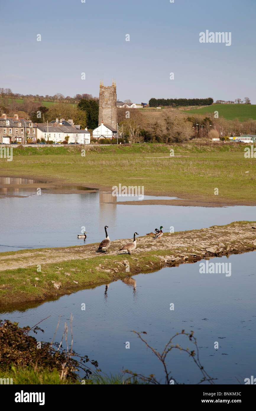 Wadebridge; Treraven Marshes; set up by the Gaia Trust; Cornwall Stock Photo