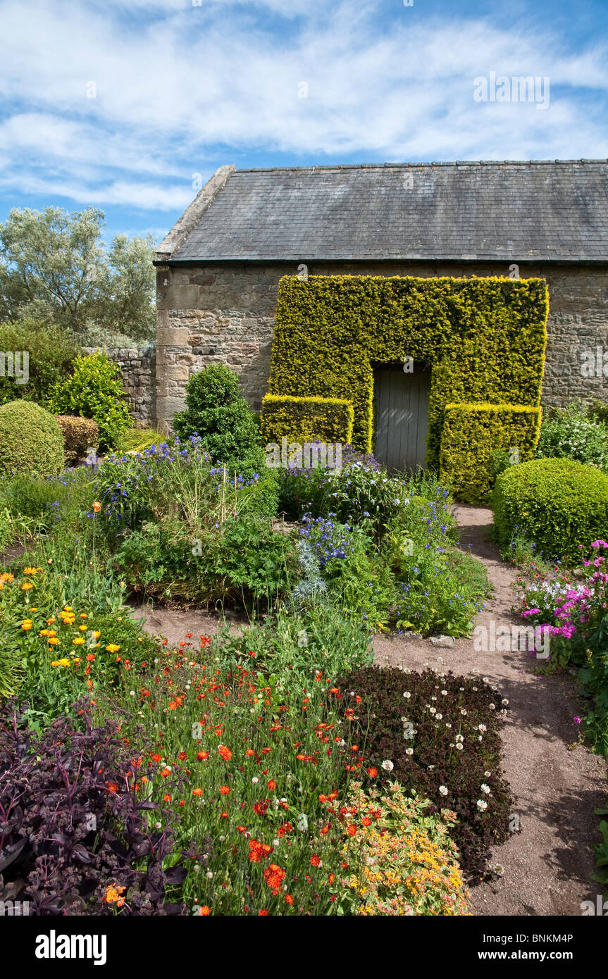 Herterton House Garden, Nr Cambo, Northumberland, UK - The Flower Garden with Topiary. Stock Photo