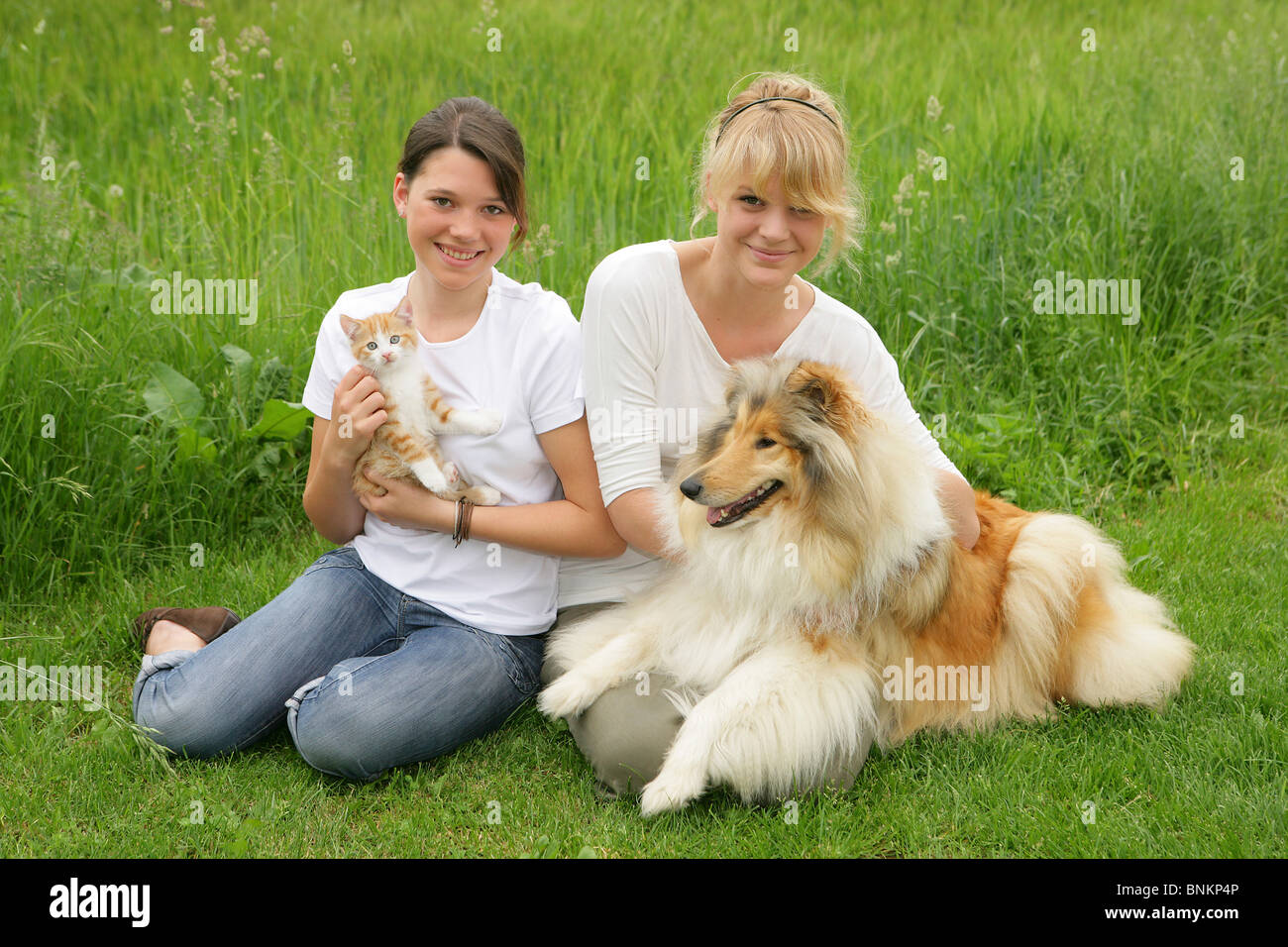 two girls with kitten and Collie dog Stock Photo