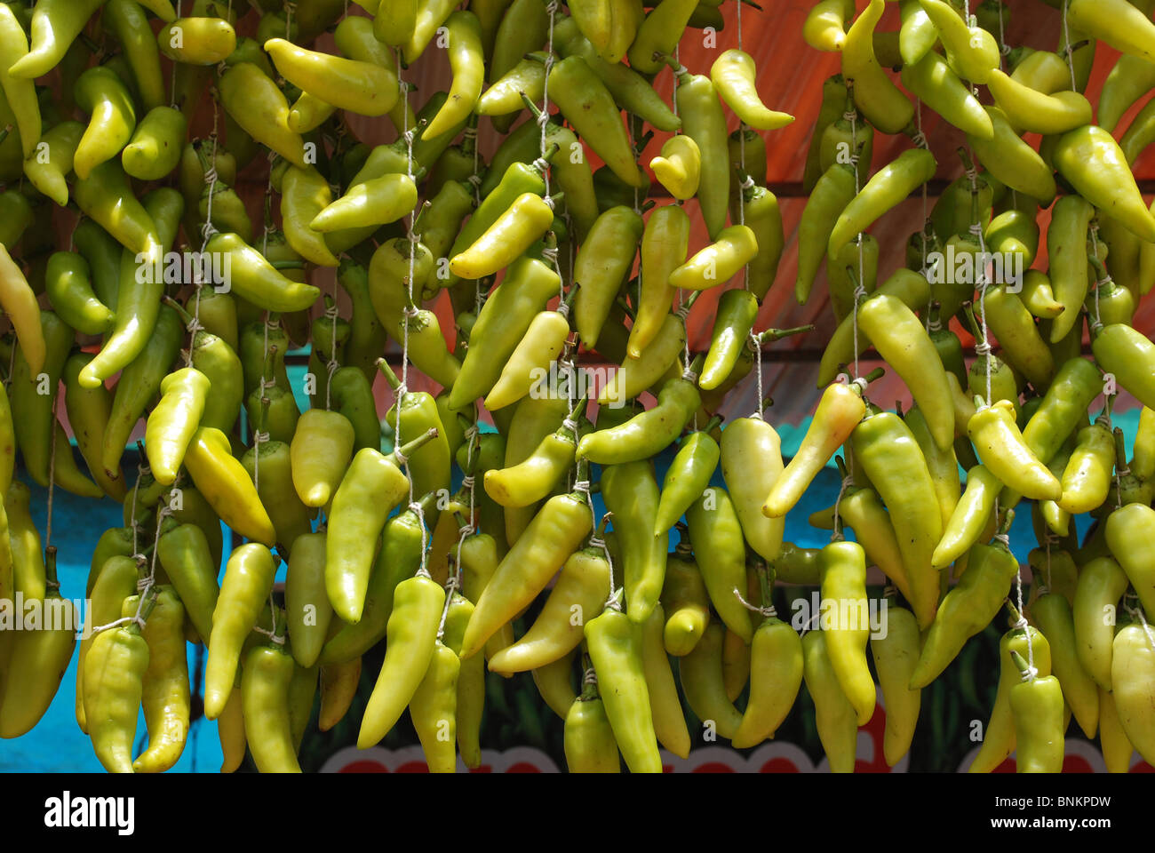 green pepper Stock Photo